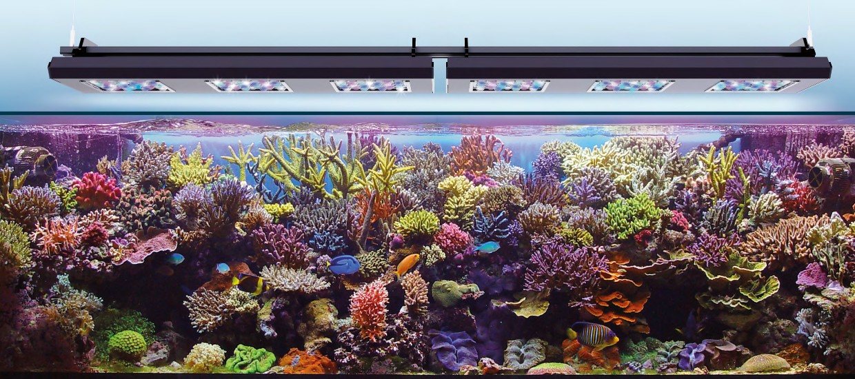 Mořská akvaristika ReefHome 