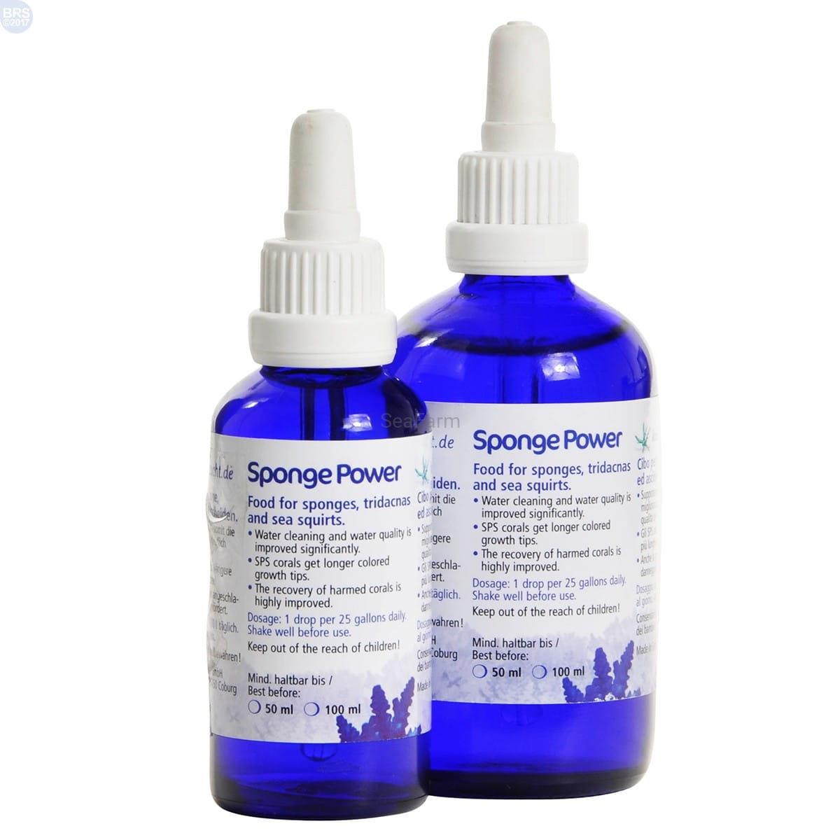 KZ Sponge Power 10ml