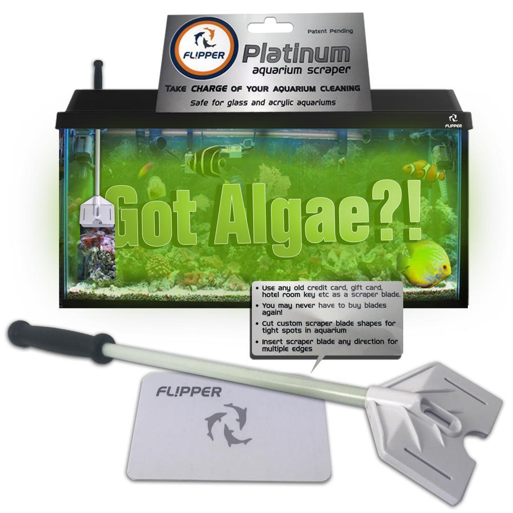 Flipper Platinum Scraper 45 cm