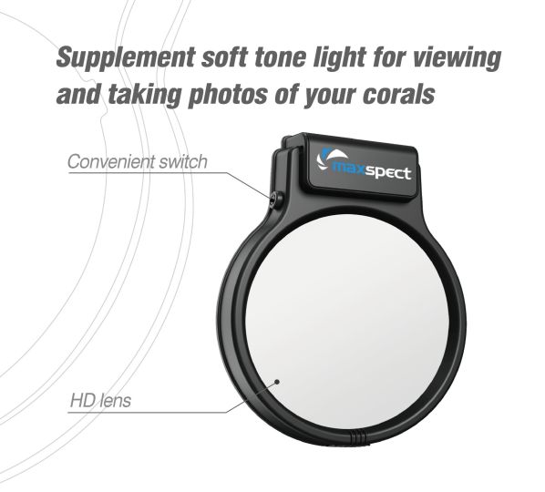 Maxspect Pastel Reef Magnifier