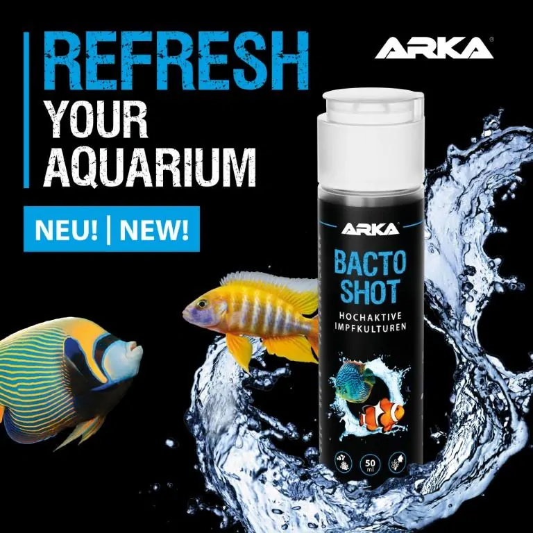 ARKA Bacto Shot 50ml