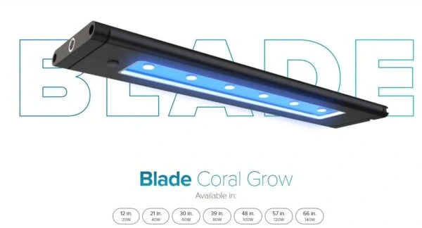 AI BLADE coral GROW