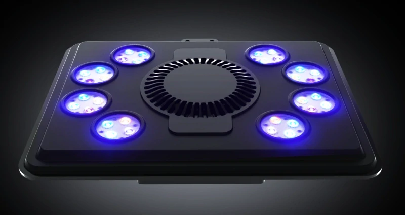 Maxspect Jump MJ-L260 Blue