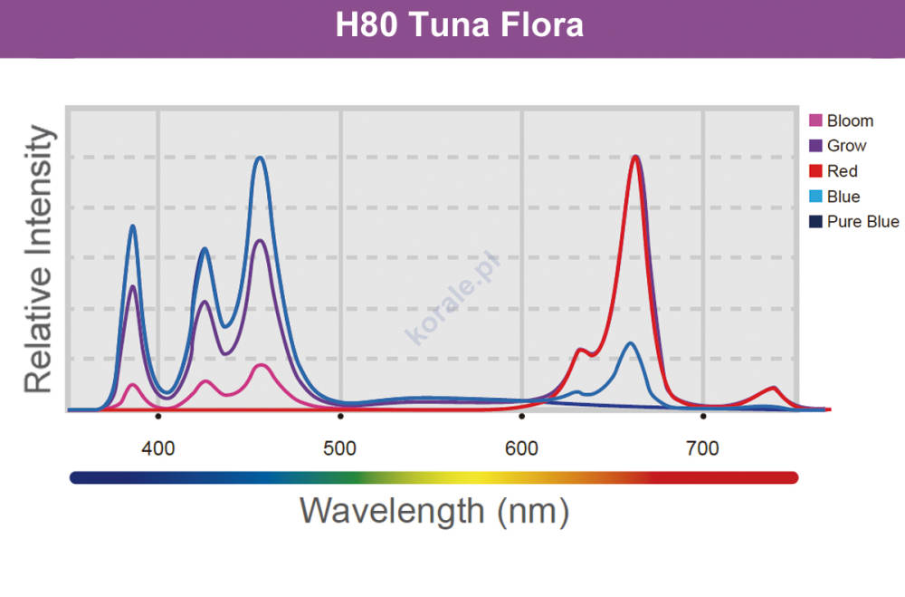 Kessil A80 Tuna Flora