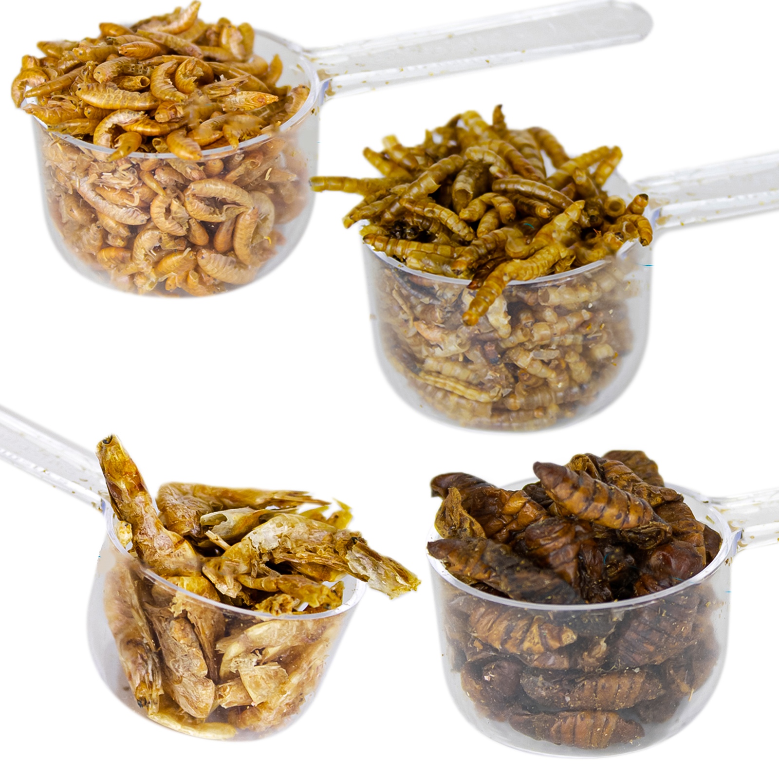 Evolution Aqua PondTreats 4in1