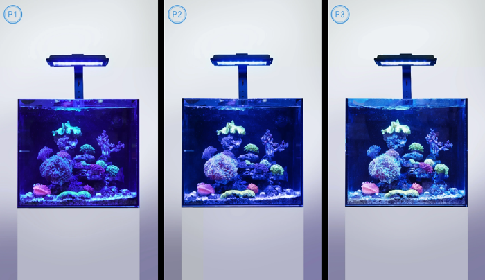 Maxspect Jump MJ-L230 LED - Refugium