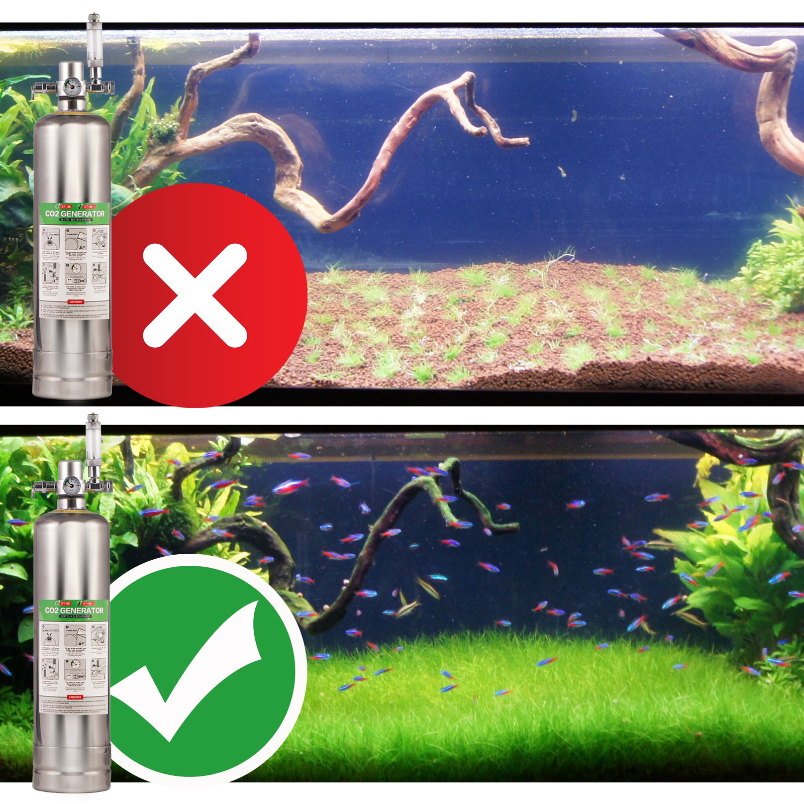 Green Bubbles CO2 Generator