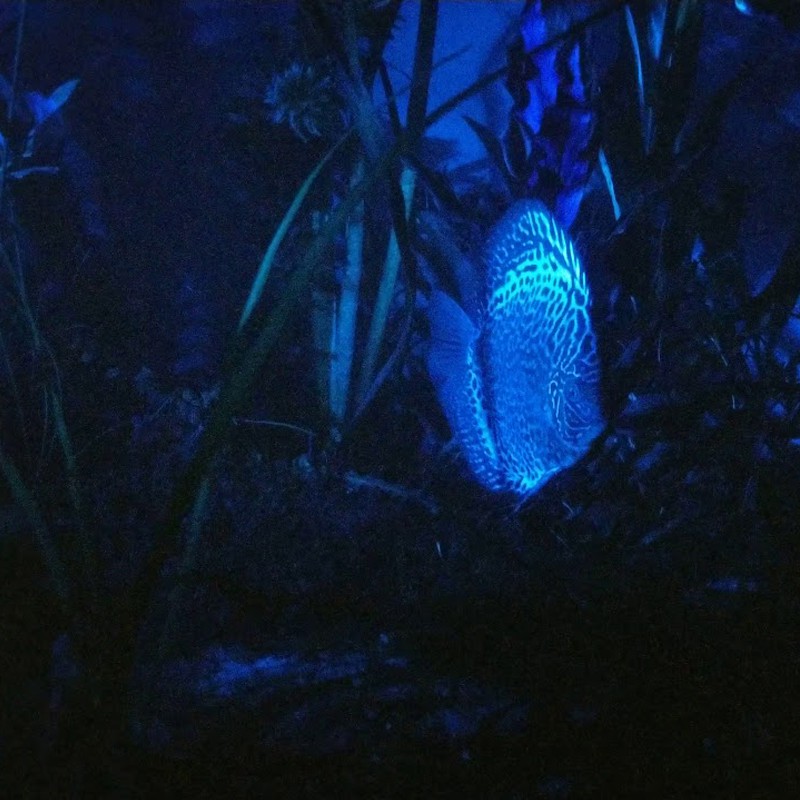 Aquael Moonlight LED - Noční osvětlení