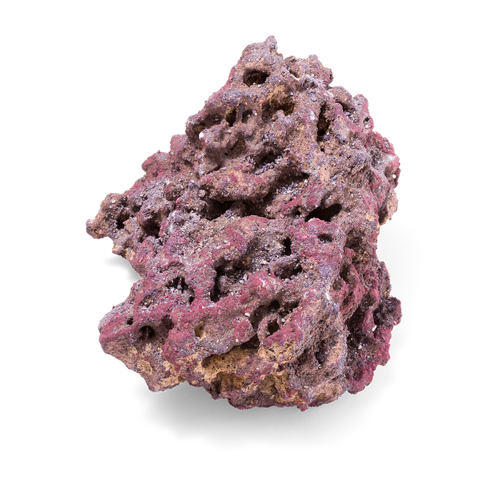 CaribSea Life Rock Original 9,07 kg