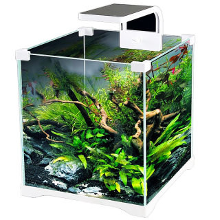 SunSun O!-LED Aqua - 15l akvarijní set