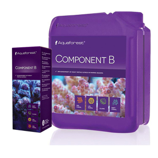 AF Component B