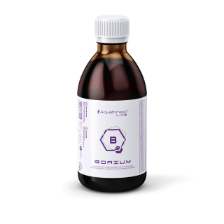 AF Borium LAB (1L)