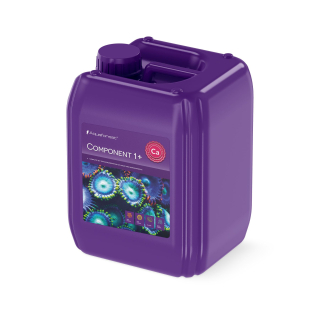 AF Component 1+