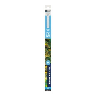 E5/T5 LED Marine White 18000 K