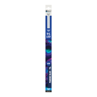 E5/T5 LED Marine Blue