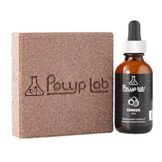 PolypLab Genesis rock combo 2160m2