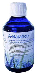 KZ A-Balance 500ml