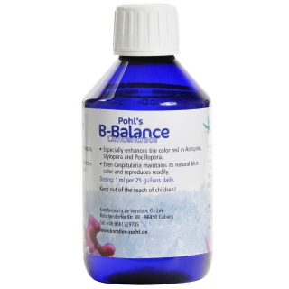 KZ B-Balance 250ml