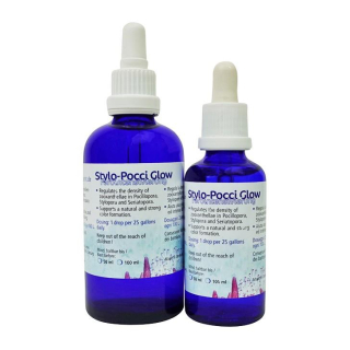 KZ Stylo Pocci Glow 50ml