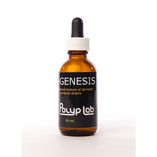 PolypLab Genesis Bacteria 50ml