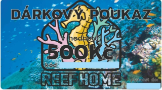 Poukaz