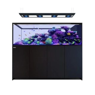 Red Sea Reefer G3 Peninsula 950