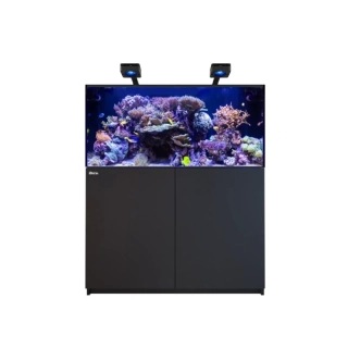 Red Sea REEFER G3 425