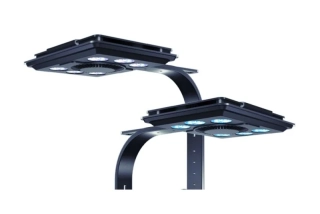 Maxspect Jump MJ-L260 Blue