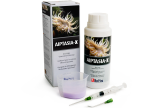 Aiptasia-X - hubení skelných sasanek