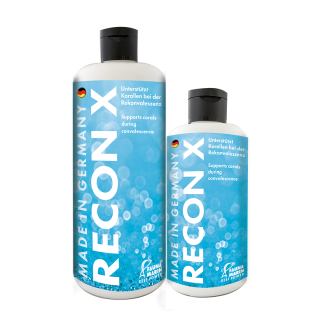 RECON X